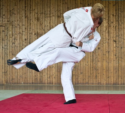 https://www.kampfsport-vfl-waiblingen.de/content/igal/judo_bg_10-JFSWHP-L-522.jpg