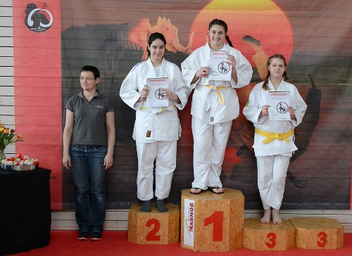 https://www.kampfsport-vfl-waiblingen.de/content/igal/judo_bg_2-P8D4TV-L-514.jpg