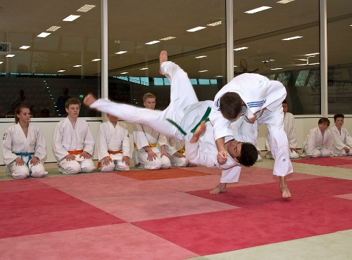 https://www.kampfsport-vfl-waiblingen.de/content/igal/judo_bg_3-QZ7O9M-L-515.jpg