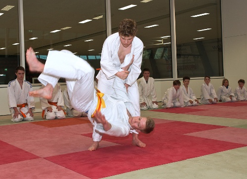 https://www.kampfsport-vfl-waiblingen.de/content/igal/judo_bg_4-B1NQW6-L-516.jpg