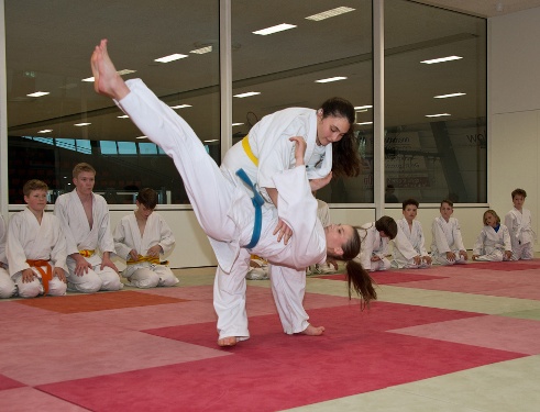 https://www.kampfsport-vfl-waiblingen.de/content/igal/judo_bg_5-Q5JZNR-L-517.jpg