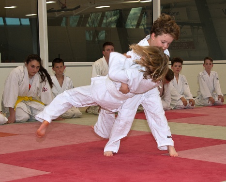 https://www.kampfsport-vfl-waiblingen.de/content/igal/judo_bg_6-FWSIXJ-L-518.jpg